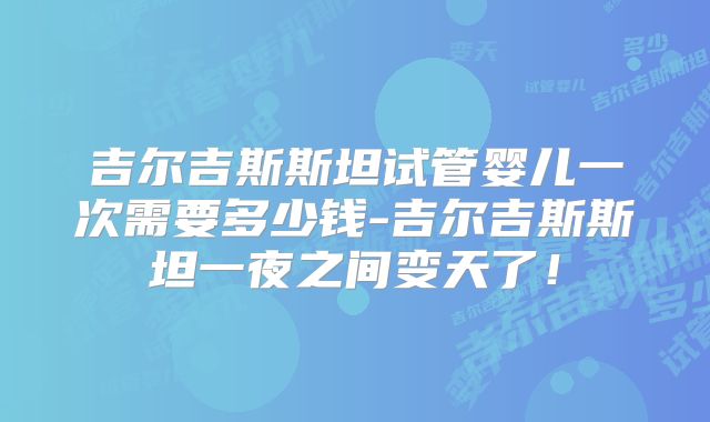 吉尔吉斯斯坦试管婴儿一次需要多少钱-吉尔吉斯斯坦一夜之间变天了！