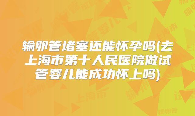 输卵管堵塞还能怀孕吗(去上海市第十人民医院做试管婴儿能成功怀上吗)