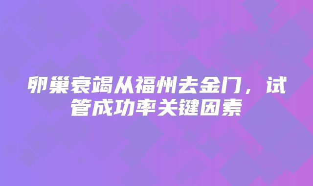 卵巢衰竭从福州去金门,试管成功率关键因素