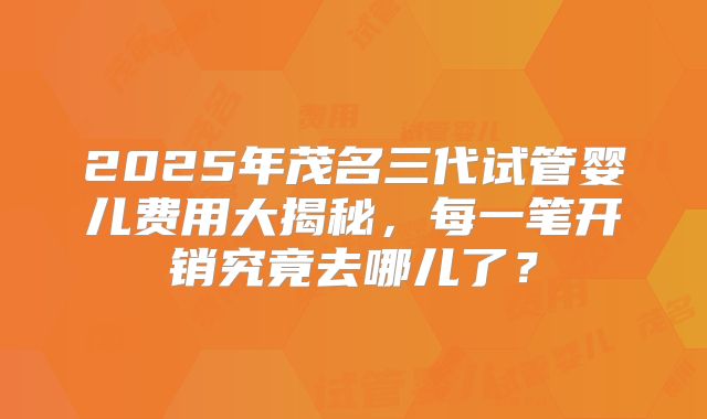 2025年茂名三代试管婴儿费用大揭秘,每一笔开销究竟去哪儿了?