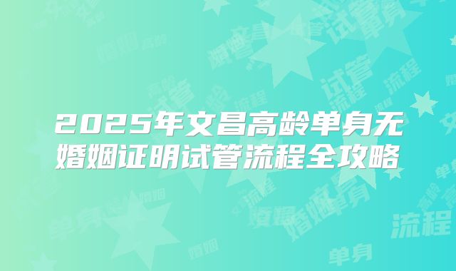 2025年文昌高龄单身无婚姻证明试管流程全攻略