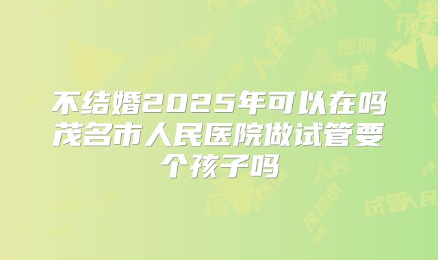 不结婚2025年可以在吗茂名市人民医院做试管要个孩子吗