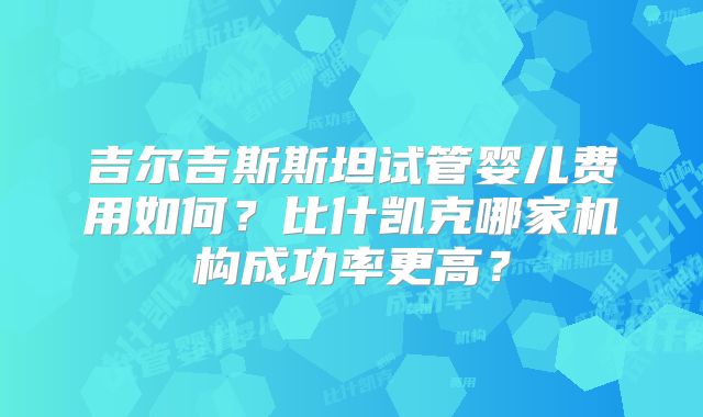 吉尔吉斯斯坦试管婴儿费用如何?比什凯克哪家机构成功率更高?