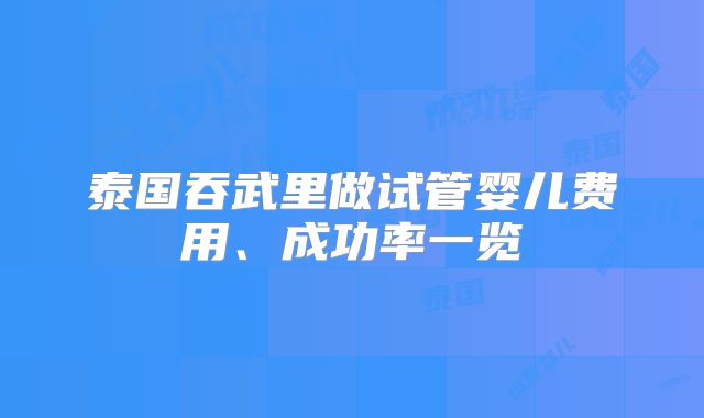 泰国吞武里做试管婴儿费用、成功率一览
