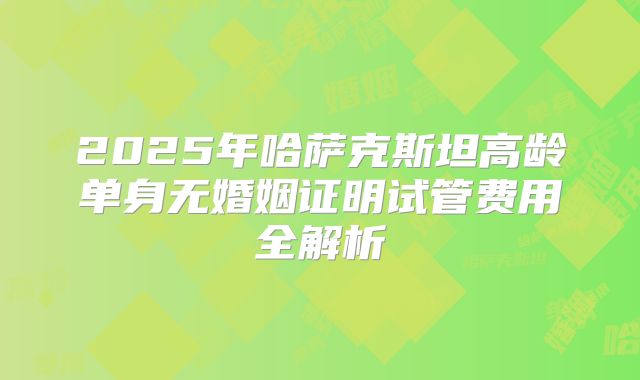 2025年哈萨克斯坦高龄单身无婚姻证明试管费用全解析