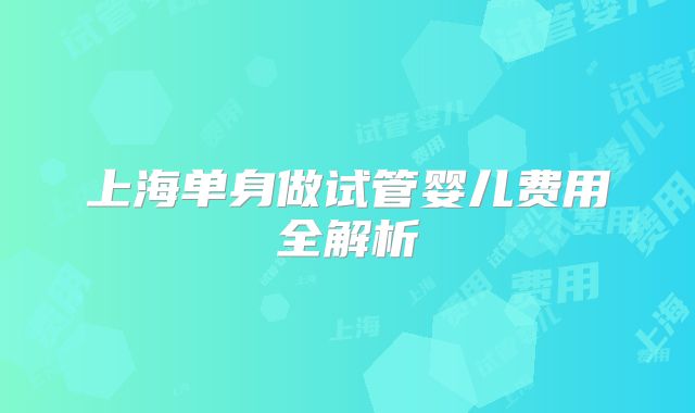 上海单身做试管婴儿费用全解析