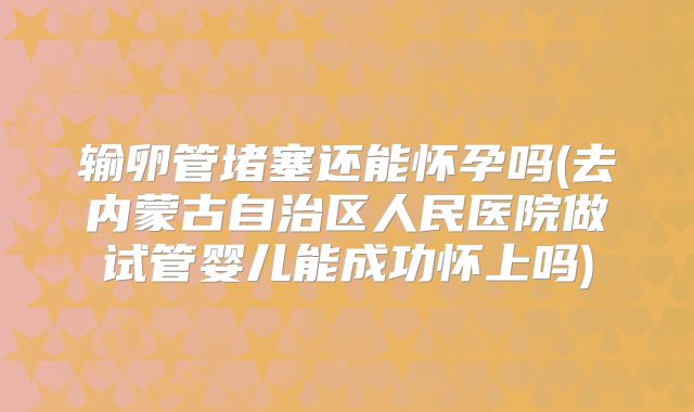 输卵管堵塞还能怀孕吗(去内蒙古自治区人民医院做试管婴儿能成功怀上吗)