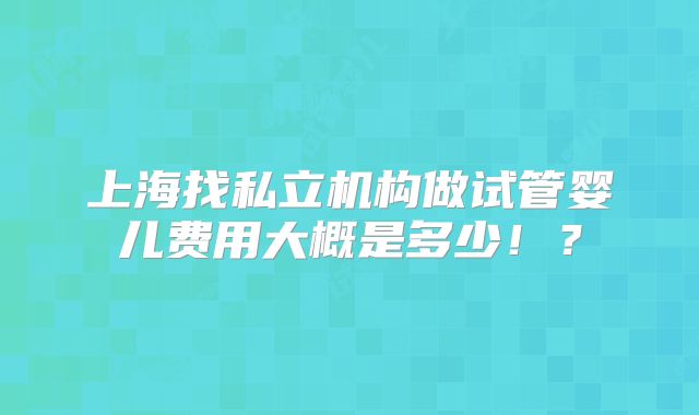 上海找私立机构做试管婴儿费用大概是多少!?
