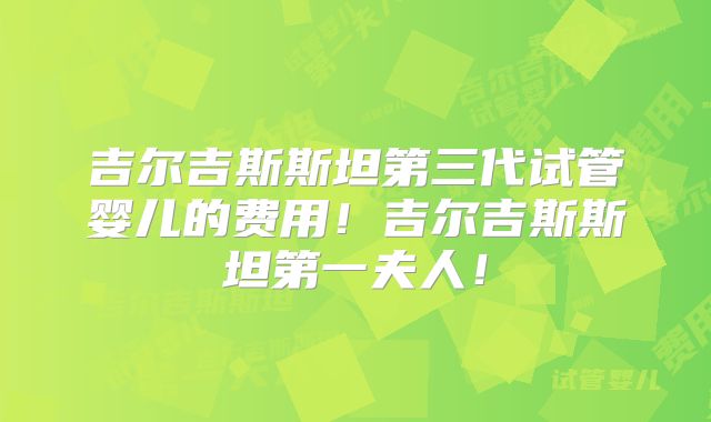 吉尔吉斯斯坦第三代试管婴儿的费用！吉尔吉斯斯坦第一夫人！