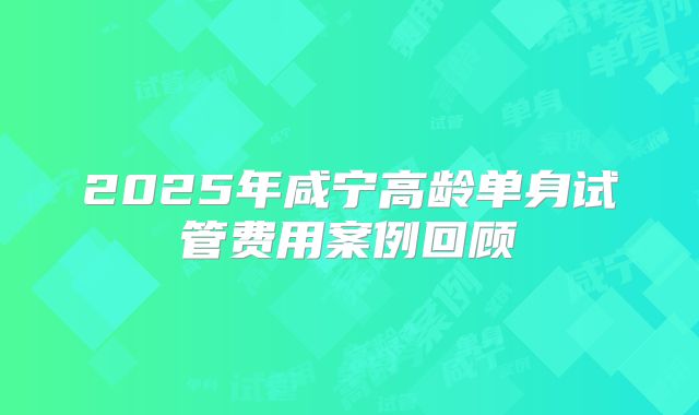 2025年咸宁高龄单身试管费用案例回顾