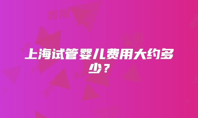 上海试管婴儿费用大约多少？