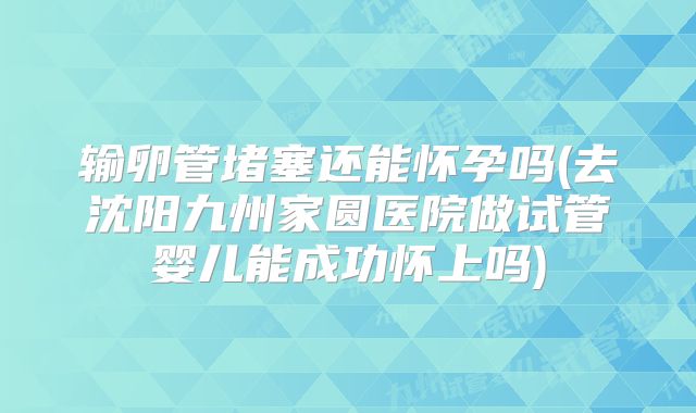 输卵管堵塞还能怀孕吗(去沈阳九州家圆医院做试管婴儿能成功怀上吗)