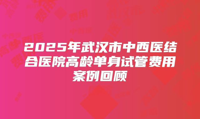 2025年武汉市中西医结合医院高龄单身试管费用案例回顾