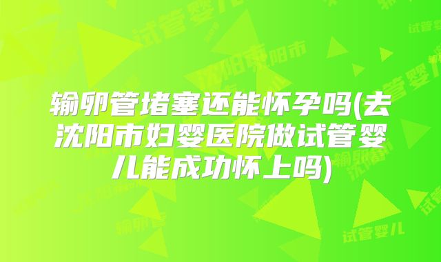 输卵管堵塞还能怀孕吗(去沈阳市妇婴医院做试管婴儿能成功怀上吗)