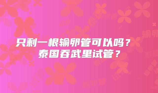 只剩一根输卵管可以吗? 泰国吞武里试管?