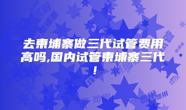 去柬埔寨做三代试管费用高吗,国内试管柬埔寨三代！