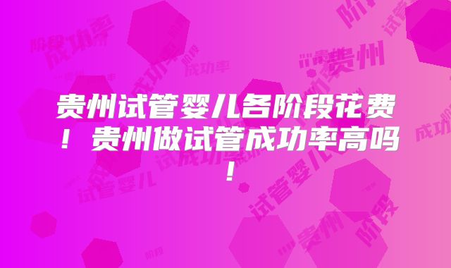 贵州试管婴儿各阶段花费!贵州做试管成功率高吗!
