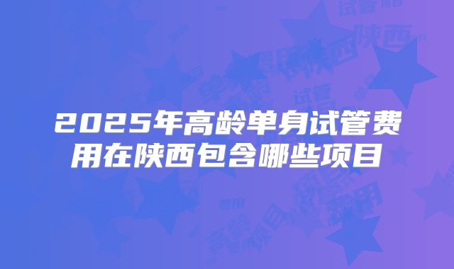 2025年高龄单身试管费用在陕西包含哪些项目