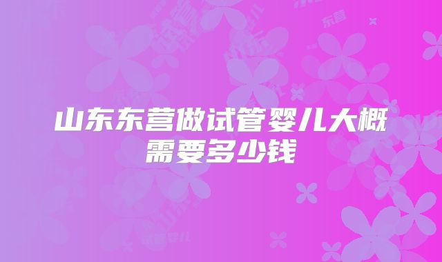 山东东营做试管婴儿大概需要多少钱