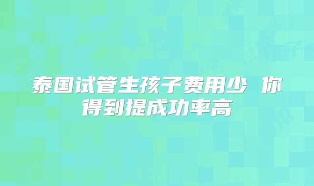 泰国试管生孩子费用少 你得到提成功率高