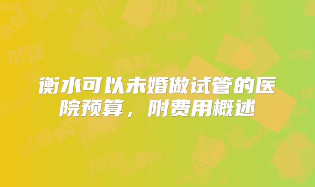 衡水可以未婚做试管的医院预算，附费用概述