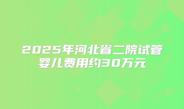 2025年河北省二院试管婴儿费用约30万元
