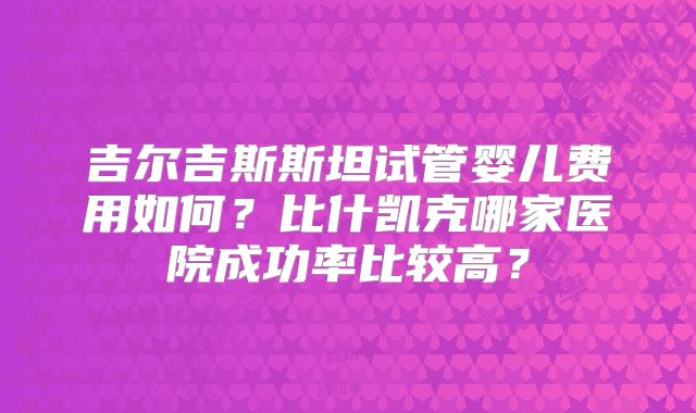 吉尔吉斯斯坦试管婴儿费用如何?比什凯克哪家医院成功率比较高?