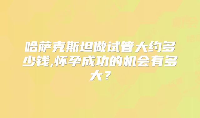 哈萨克斯坦做试管大约多少钱,怀孕成功的机会有多大?
