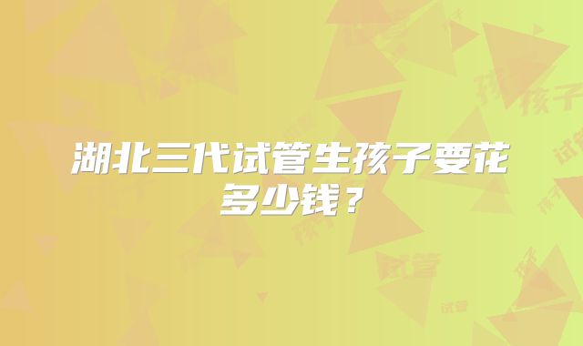 湖北三代试管生孩子要花多少钱？