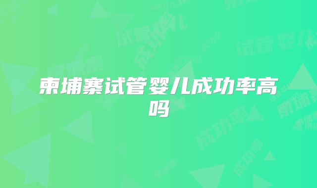 柬埔寨试管婴儿成功率高吗