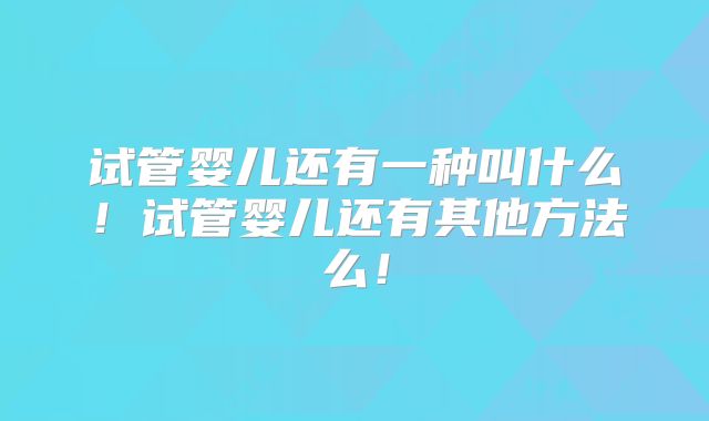 试管婴儿还有一种叫什么!试管婴儿还有其他方法么!