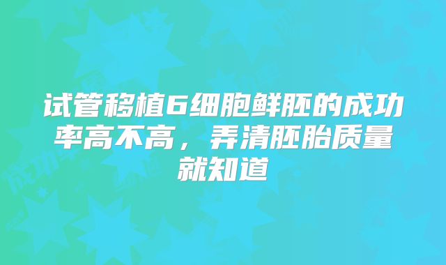 试管移植6细胞鲜胚的成功率高不高,弄清胚胎质量就知道