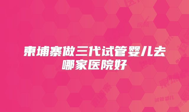柬埔寨做三代试管婴儿去哪家医院好