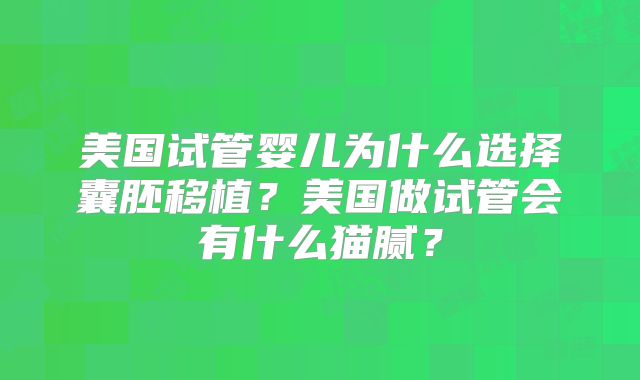 美国试管婴儿为什么选择囊胚移植？美国做试管会有什么猫腻？