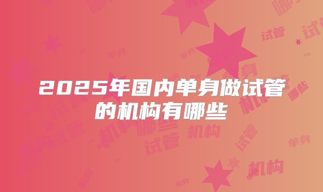 2025年国内单身做试管的机构有哪些