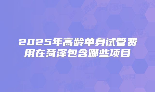 2025年高龄单身试管费用在菏泽包含哪些项目