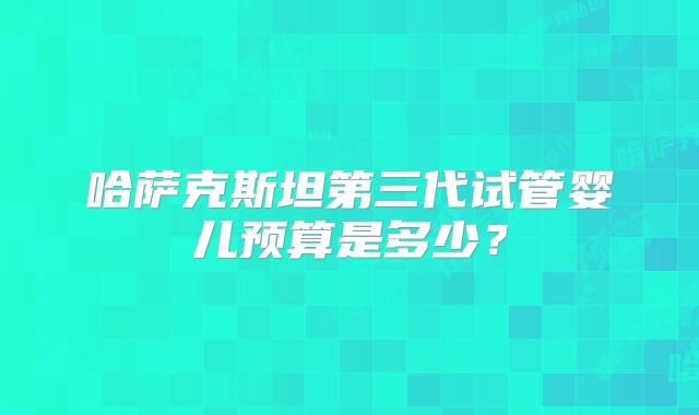 哈萨克斯坦第三代试管婴儿预算是多少？