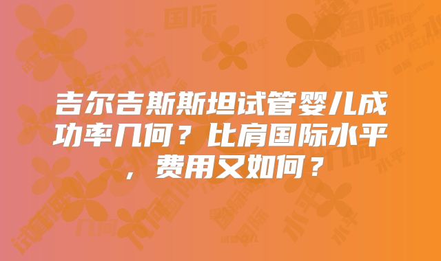 吉尔吉斯斯坦试管婴儿成功率几何？比肩国际水平，费用又如何？