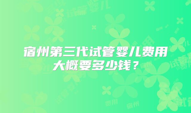 宿州第三代试管婴儿费用大概要多少钱？