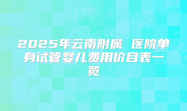 2025年云南附属 医院单身试管婴儿费用价目表一览