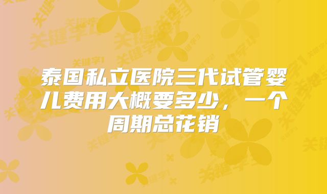 泰国私立医院三代试管婴儿费用大概要多少,一个周期总花销