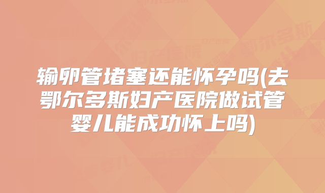 输卵管堵塞还能怀孕吗(去鄂尔多斯妇产医院做试管婴儿能成功怀上吗)