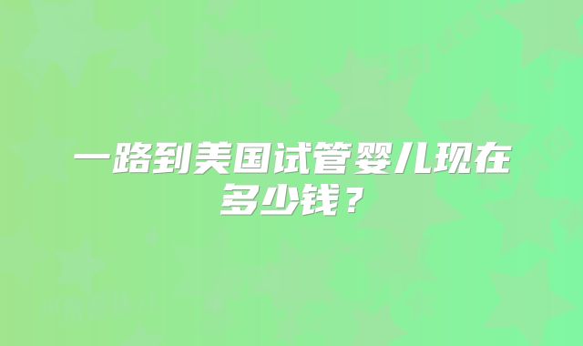 一路到美国试管婴儿现在多少钱？