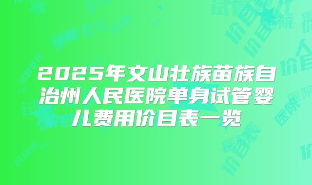 2025年文山壮族苗族自治州人民医院单身试管婴儿费用价目表一览