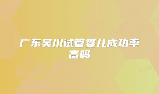广东吴川试管婴儿成功率高吗