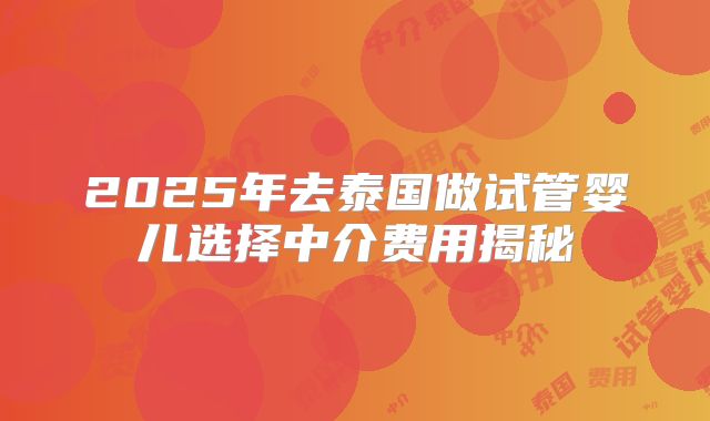 2025年去泰国做试管婴儿选择中介费用揭秘