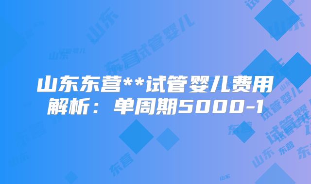 山东东营**试管婴儿费用解析：单周期5000-1