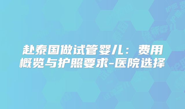赴泰国做试管婴儿:费用概览与护照要求-医院选择