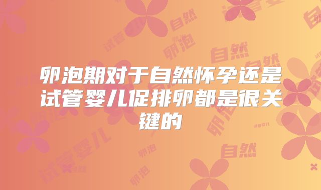 卵泡期对于自然怀孕还是试管婴儿促排卵都是很关键的