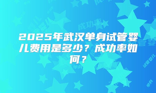 2025年武汉单身试管婴儿费用是多少?成功率如何?